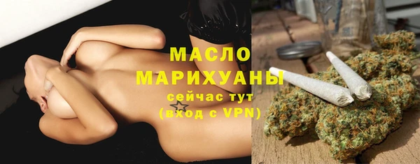 индика Наволоки