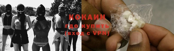индика Наволоки