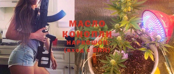 индика Наволоки