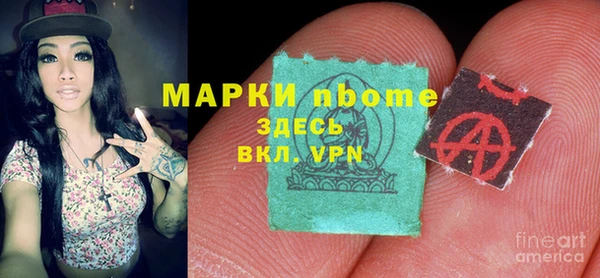 индика Наволоки