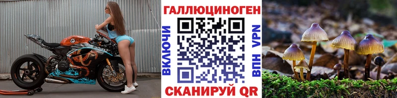 Галлюциногенные грибы Psilocybe  KRAKEN ССЫЛКА  Новокузнецк 
