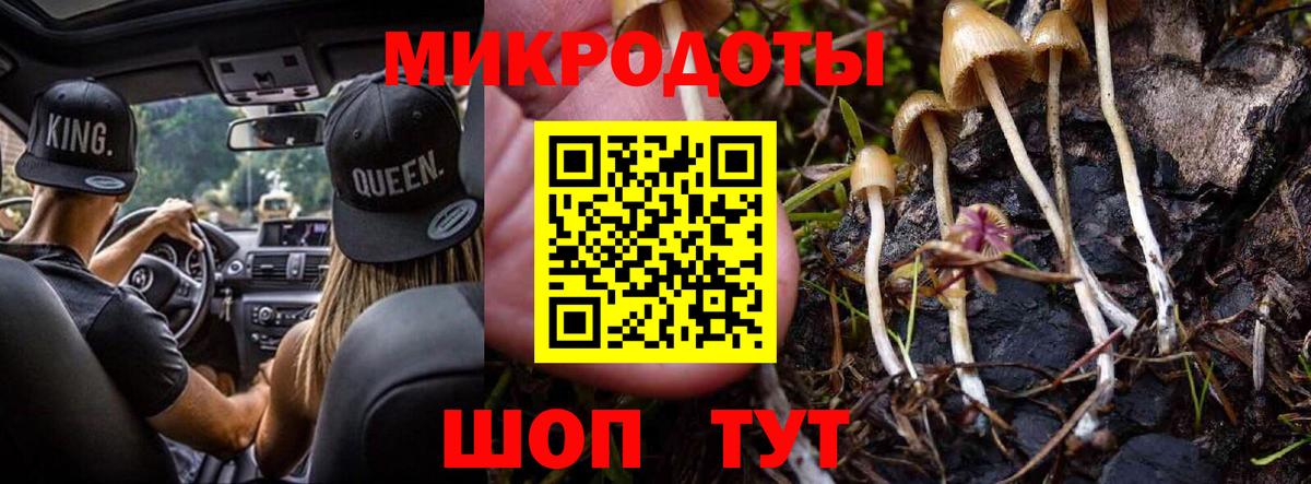 Псилоцибиновые грибы Cubensis  Галлюциногенные грибы мицелий  где продают наркотики  Вход с VPN  Новокузнецк 