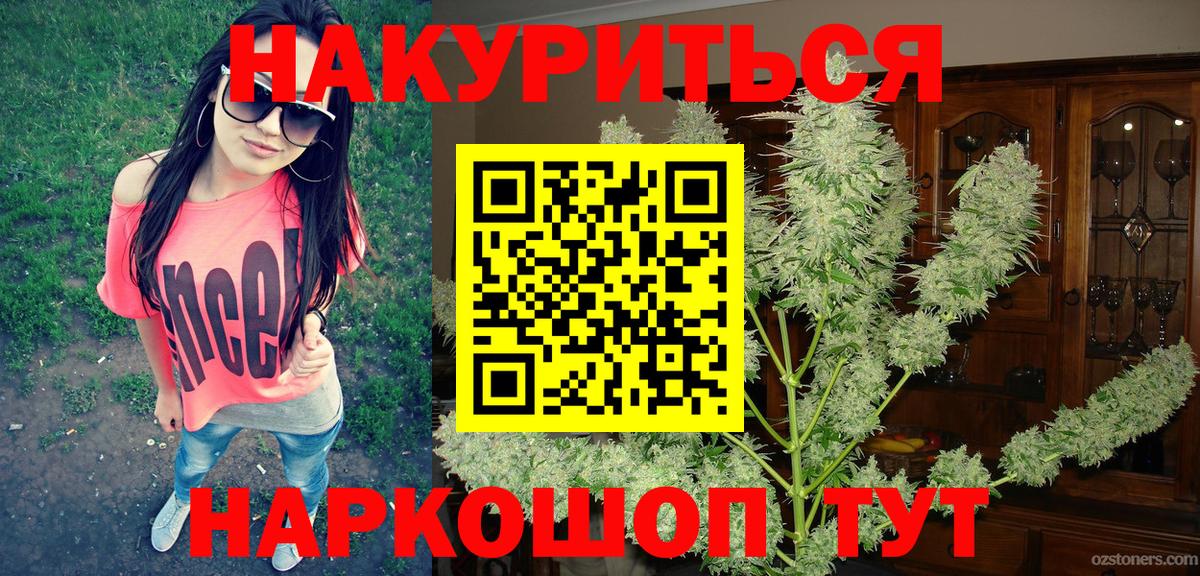 Каннабис планчик  Вход с VPN  Новокузнецк  Марихуана White Widow  Марихуана SATIVA & INDICA 